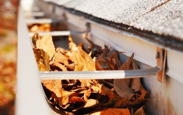 Purlie Lodge gutter cleaning companies