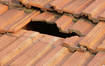 roof repair Purlie Lodge, Highland