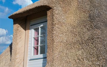 Purlie Lodge thatch roof disadvantages